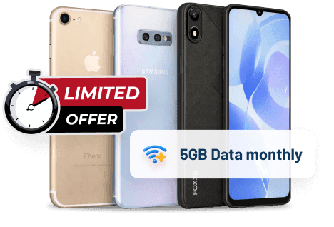 SectionCountDownPhone