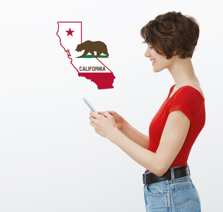 free government cell phones in california