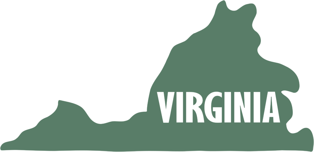 what is the best free government phone program in virginia