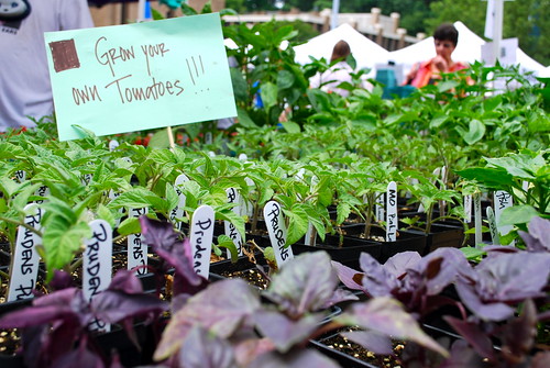 can you buy plants with ebt