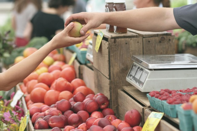 how to apply for ebt in illinois