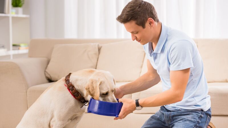 can you buy pet food with ebt snap	