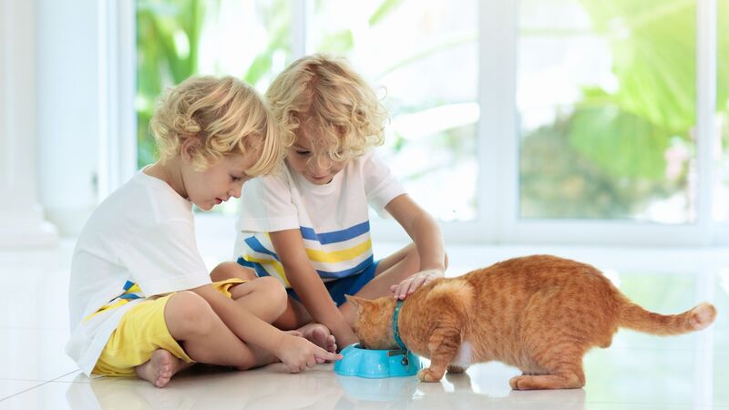 can you buy pet food with ebt snap