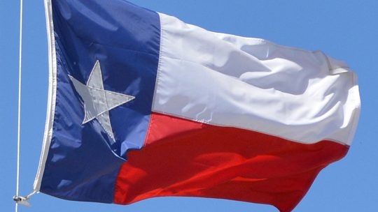 how to apply for d-snap in texas