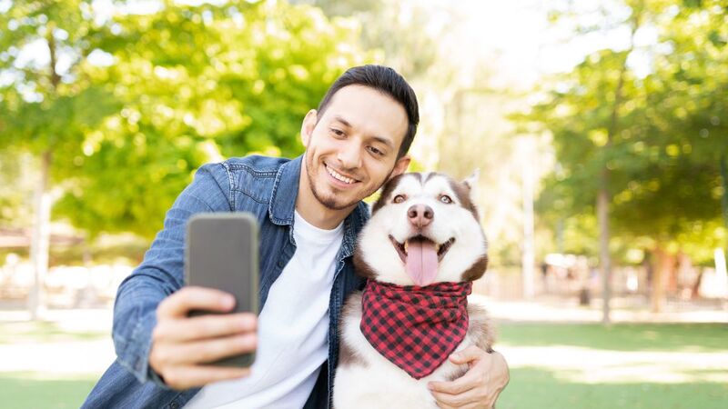 can you buy dog food with EBT card