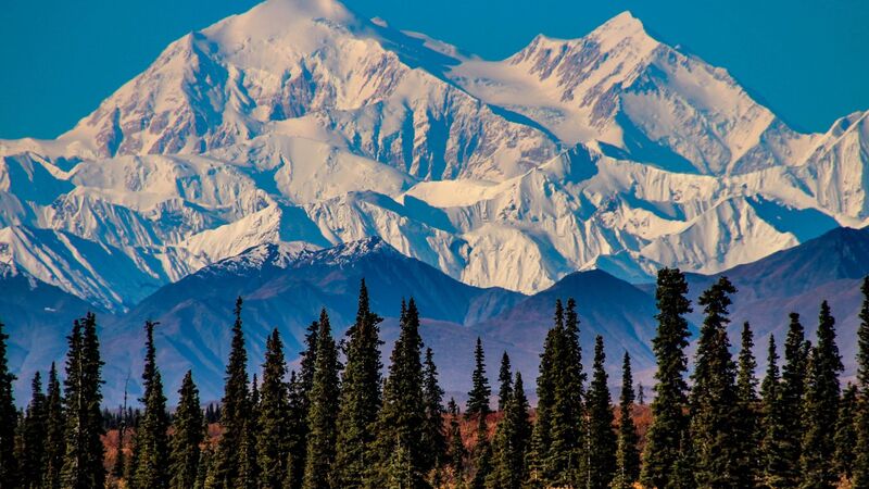 Lifeline application Alaska