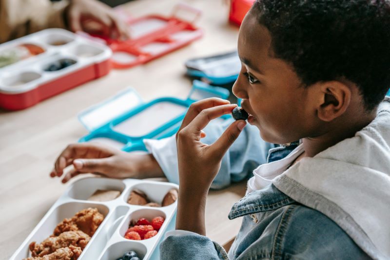 national school lunch program 2