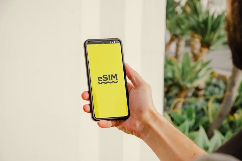 free government phone service esim