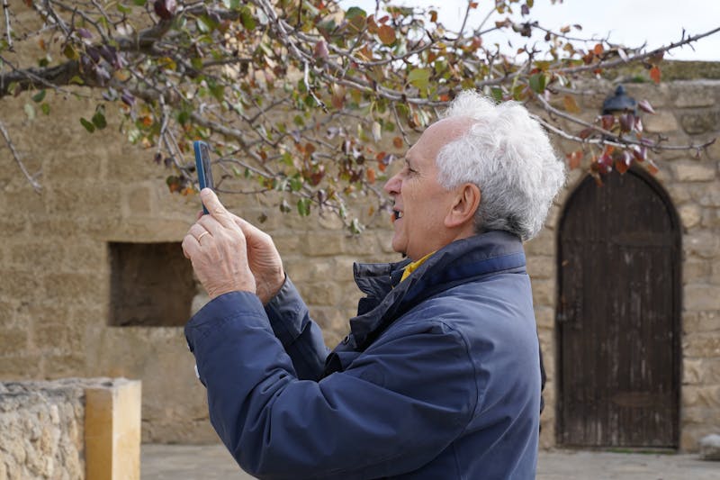 free government iphone nyc