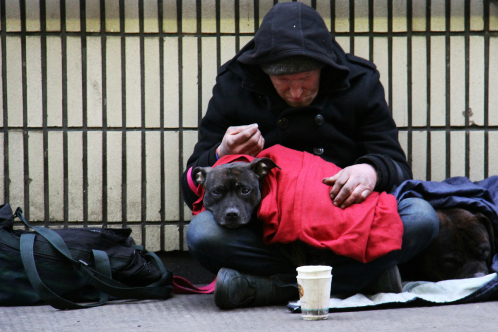 free-government-phone-illinois-for-low-income-definition