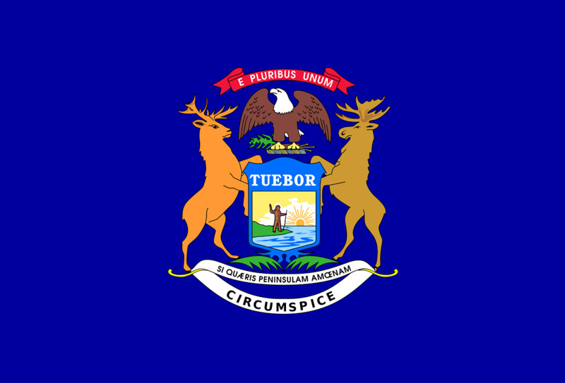 what is the best free government phone program in michigan