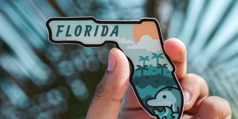 How to apply for EBT in Florida (Imade By Unslash) Nguồn: https://unsplash.com/fr/photos/personne-tenant-une-coque-iphone-blanche-et-noire-_7gIfk0MU0o