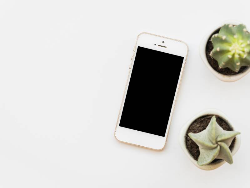 free-iphone-6s-government-phone