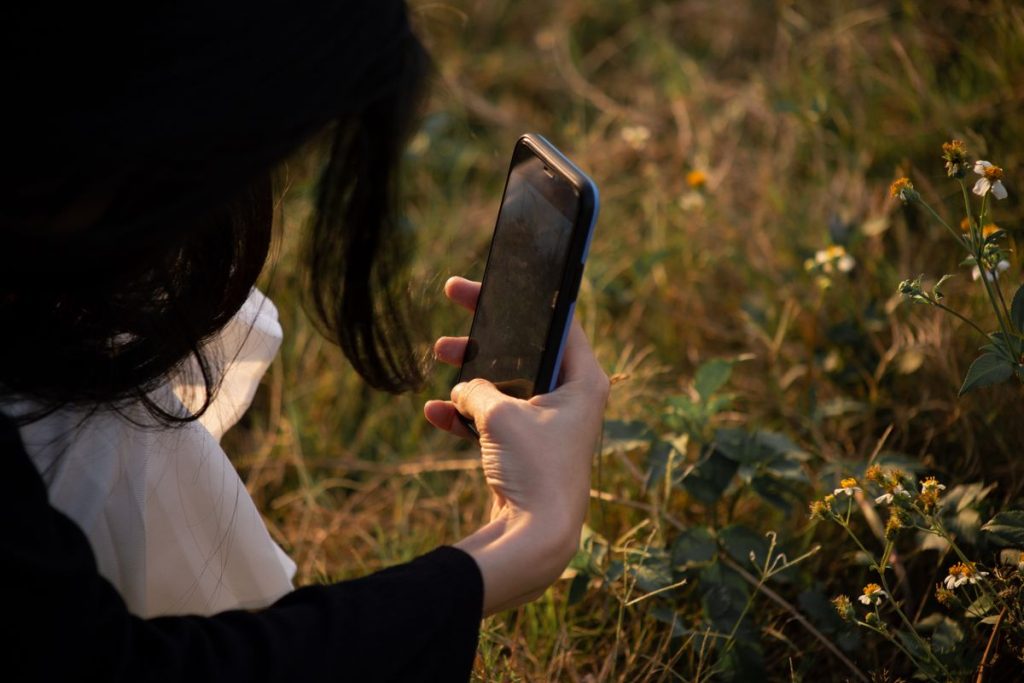 why-are-government-phones-free