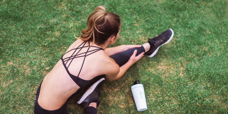 can you purchase beer with ebt