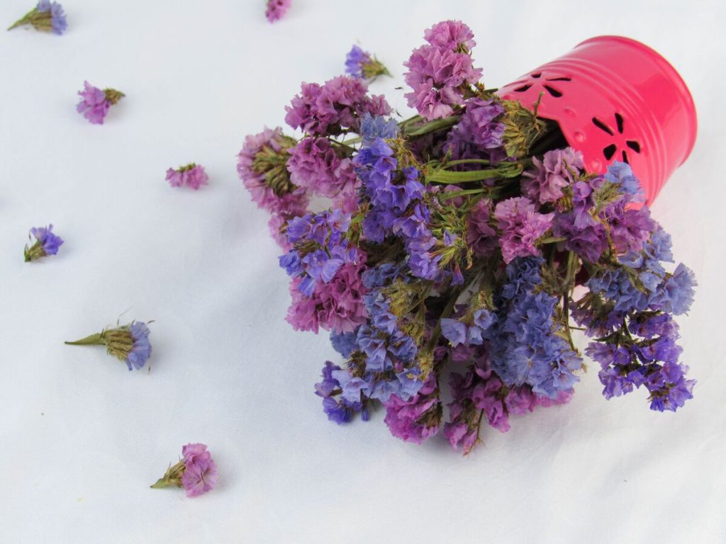 how-to-dry-flowers-quickly-