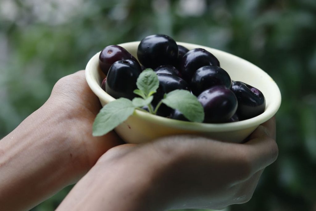 food that starts with j