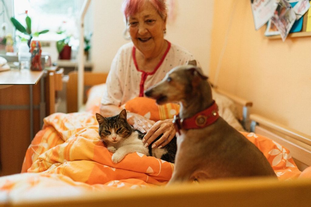 assisted-living-pets-allowed