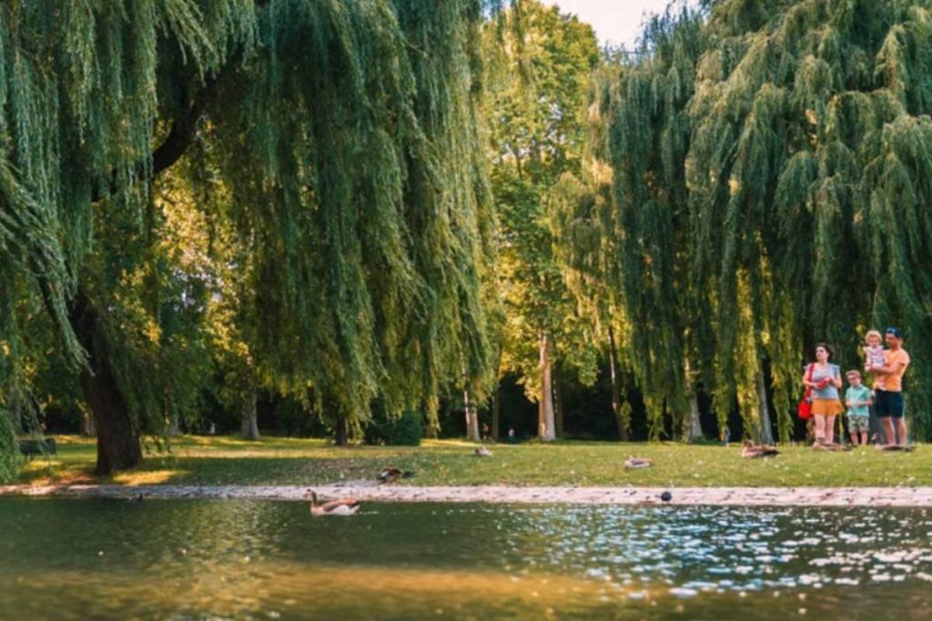 best-parks-for-kids-near-me