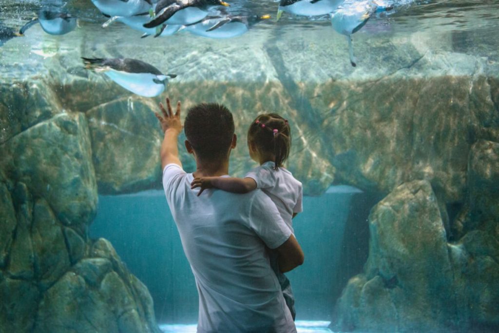 things-to-do-with-kids-near-me