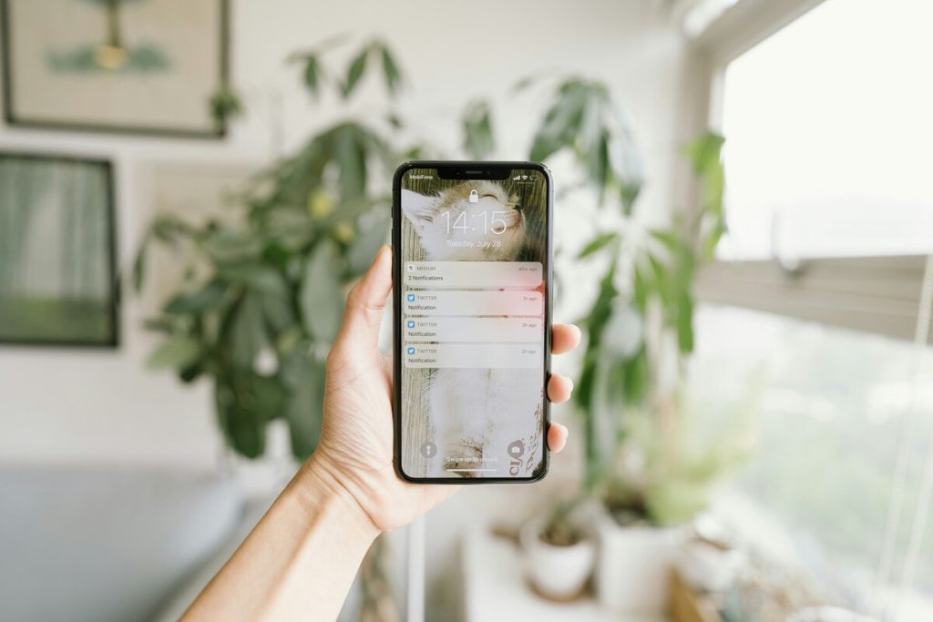 how-to-update-autofill-on-iphone